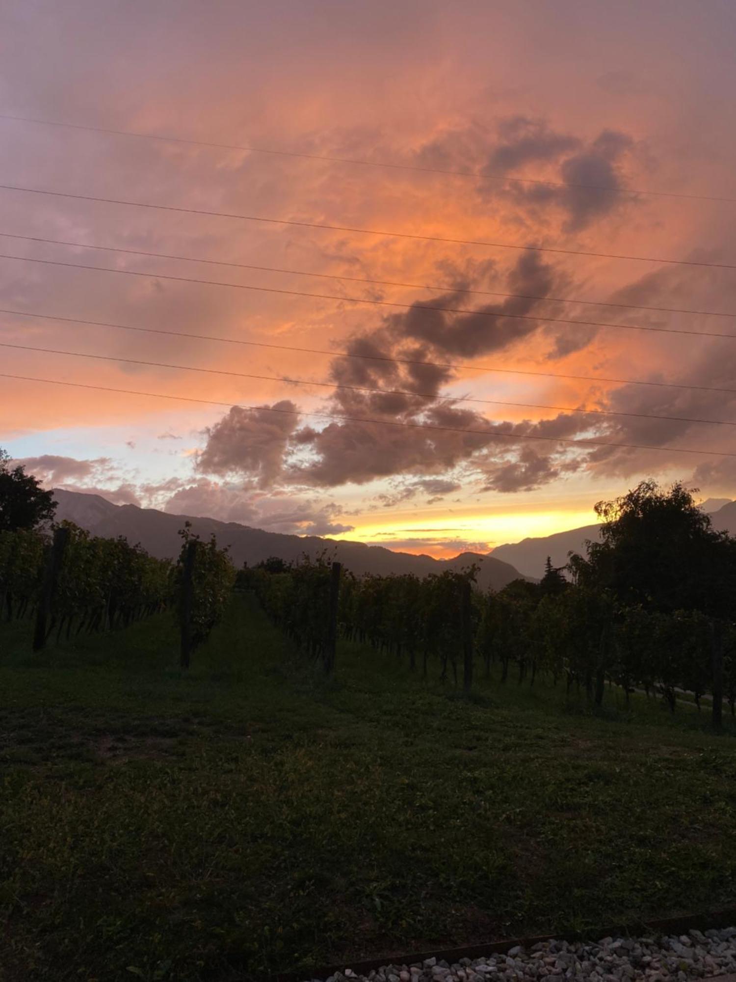 Agritur Verderame Trento Eksteriør billede